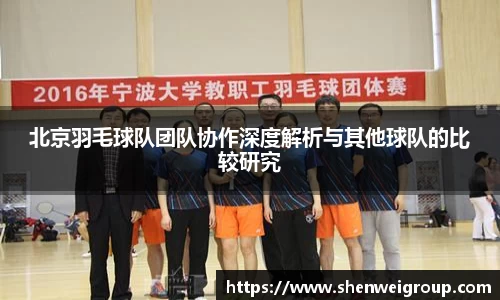 北京羽毛球队团队协作深度解析与其他球队的比较研究