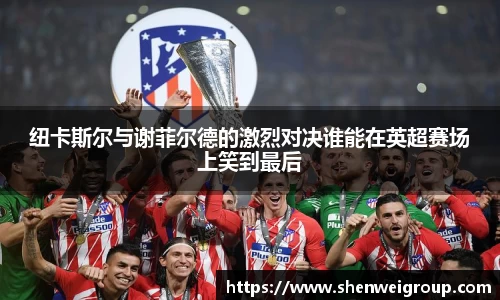 纽卡斯尔与谢菲尔德的激烈对决谁能在英超赛场上笑到最后